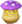 Icon of the purple mushrooms in Pikmin Bloom.