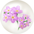 Thumbnail for version as of 02:39, May 1, 2026
