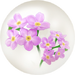 Red forget-me-not nectar from Pikmin Bloom.