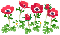 Red windflower flowers icon.png