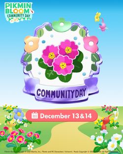 Promotional image for the December 2025 Community Day.