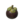 Icon for the Dapper Blob, from Pikmin 4's Treasure Catalog.