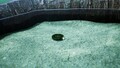 An alternative, more close-up, shot of the treasure in the location it is discovered.