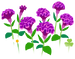 Texture for blue celosia flowers on the map in Pikmin Bloom.