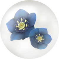 Blue helleborus nectar icon.png