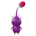 A Purple Pikmin in its bud stage.