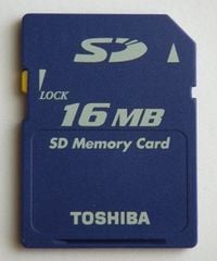 SD Card.jpg