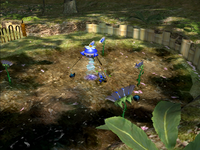 Location of the Blue Onion in the Awakening Wood.