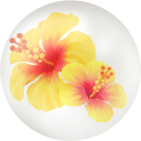 Yellow hibiscus nectar icon.png