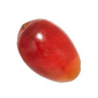 Icon for the Heroine's Tear, from Pikmin 4's Treasure Catalog.