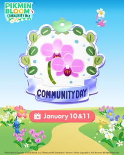 Promotional image for the January 2026 Community Day.