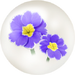 Blue primrose nectar from Pikmin Bloom.