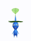 An animation of a blue Pikmin with a leaf hat from Pikmin Bloom.